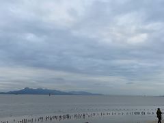 -深圳湾公园(南山区)