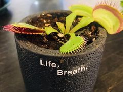 -茶马花街(城西银泰城店)