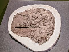 -遇见博物馆(遇见海洋沉浸式奇幻光影展)