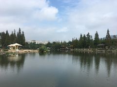 -河泥荡文化公园