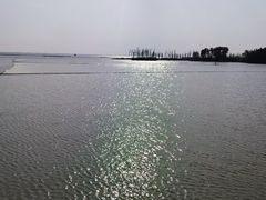 -滆湖低碳生态公园