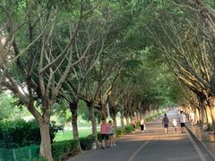 -风云岭森林公园