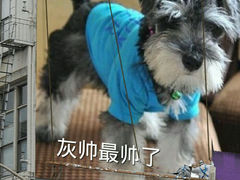android_upload_pic-瑞派宠物医院·24小时骨科·心脏·核磁(哈尔滨南岗店)