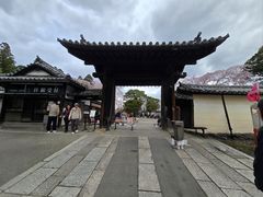 -醍醐寺