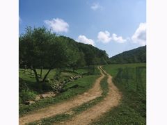 -大水川景区