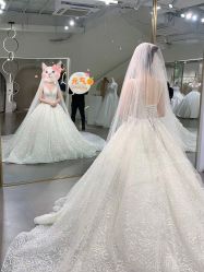 -艾米丽婚纱礼服