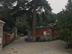 -阳台山自然风景区