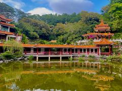 -深圳仙湖植物园