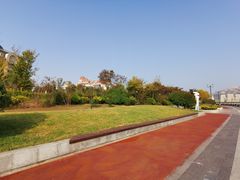 -星光岛