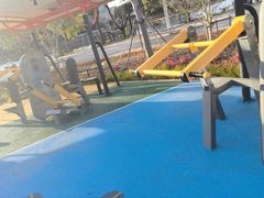 -新江湾城公园
