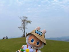 -东钱湖旅游度假区