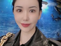 -诺莱仕游艇会