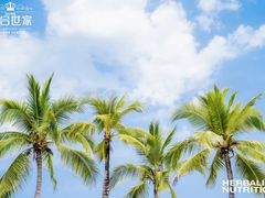 -三亚南山文化旅游区