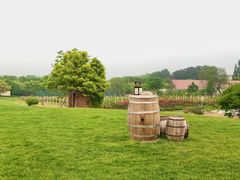 -安德鲁户外烧烤帐篷营地(马泉营店)