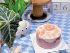 -ABC Cooking Studio(上海环球金融中心店)