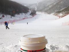 -密苑云顶乐园(云顶滑雪场)