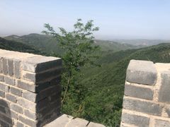 -临潼印象·特色陕菜