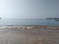-东郊椰林