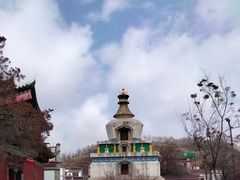 -塔尔寺游客服务中心