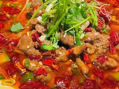 -铂米星座(瑞安店)