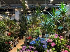 -双季花艺园艺市场(浦东店)