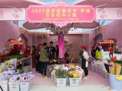 -深圳市罗湖体育馆