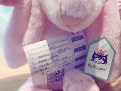 -PAWTOY爪e玩偶店(天兴罗斯福店)