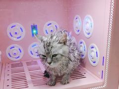 -贝康宠物医院·犬猫全科·小动物特色诊疗中心(东环路店)