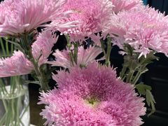 景观位-懒人盐府人家(航天桥店)