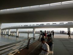 -演武大桥观景平台