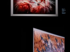 -罗红摄影艺术馆