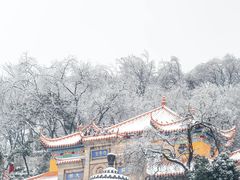 -宝通禅寺
