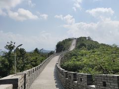 -黄贤森林公园