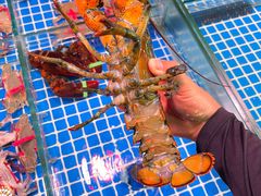 -巽寮印象美食部落餐厅·海鲜·地方特色菜(惠州体验店)