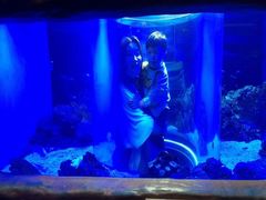 -芜湖新华联大白鲸海洋公园