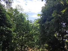 -青城山