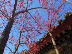 -宣武艺园