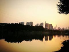 -光明港公园