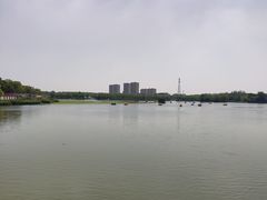 -大兴滨河森林公园