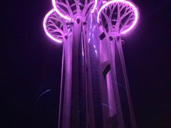 -奥塔空中餐厅