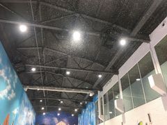 -Mr·Kuma酷么先生雪之乐园