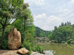 -云溪植物园