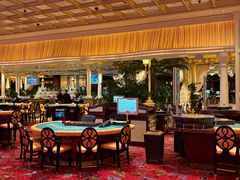 -拉斯维加斯永利酒店