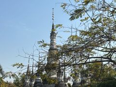-西双版纳总佛寺
