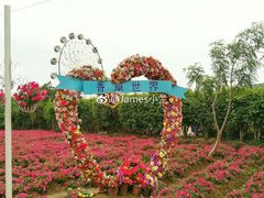 -广东花都香草世界旅游度假区