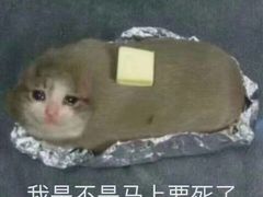 -随柳居·苏式小吃(建新巷店)