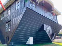 -金山农民画村-枫泾波兰倒置屋