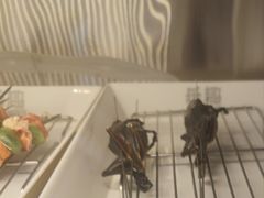 -乐趣小炉子烧烤(六里桥店)
