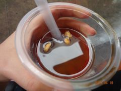 蜂蜜烧仙草-八婆婆烧仙草(中山路店)