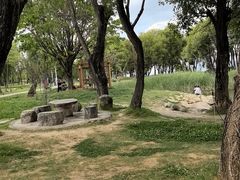 -洱海月湿地公园